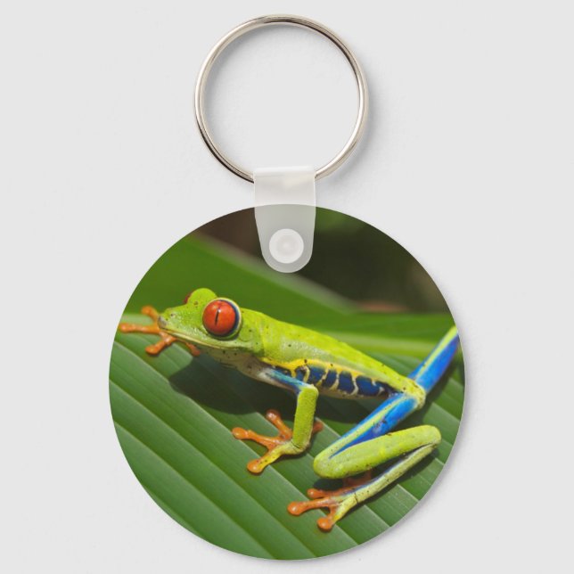 Grönt Frog Nyckelring (Framsida)