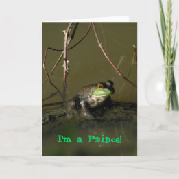 Grönt Frog Prince Valentine Card Helgkort