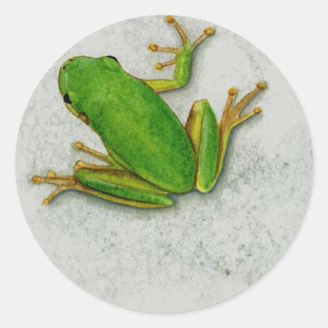 Grönt Frog Sticker Lakan Runt Klistermärke (Framsida)