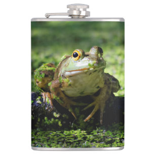 Grönt Frog Strejkor a Pose på Hose Fickplunta