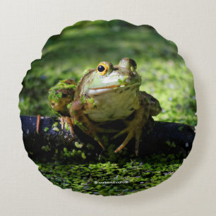 Grönt Frog Strejkor a Pose på Hose Rund Kudde