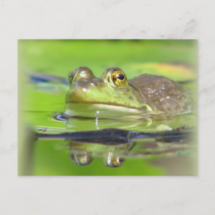 Grönt Frog vykort