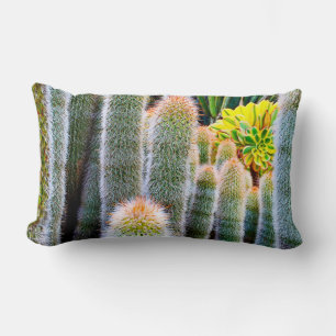 Grönt fuzzy cacti succulary-foto fold modern chic lumbarkudde