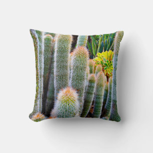 Grönt fuzzy cacti succulary-fotoenkel modern kudde