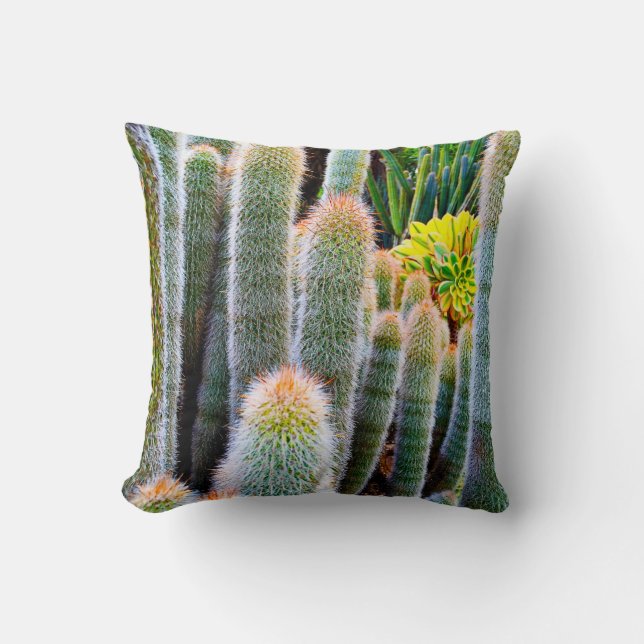 Grönt fuzzy cacti succulary-fotoenkel modern kudde (Framsida)