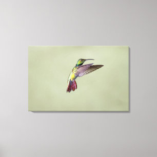 Grönt-gådd mot mangoHummingbird Anthracocorax 2 Canvastryck