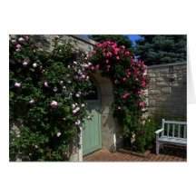 Grönt Garden Grind med Bench