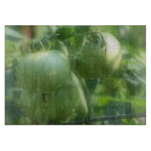 Grönt Garden Tomates på vinet