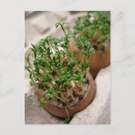 Grönt Garden Vapensköld i vykort för Påskägg