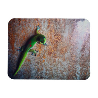Grönt Gecko Flexi Magnet