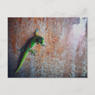 Grönt Gecko-vykort Vykort