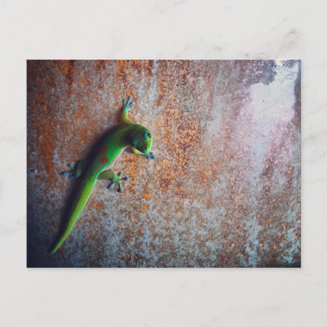 Grönt Gecko-vykort Vykort (Framsida)