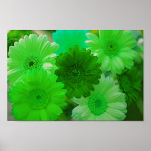 Grönt Gerbera Daisy Flowers Wall Art Print Poster