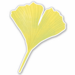 Grönt Gingko Löv Natur Älskare Botaniska Mönster Klistermärken