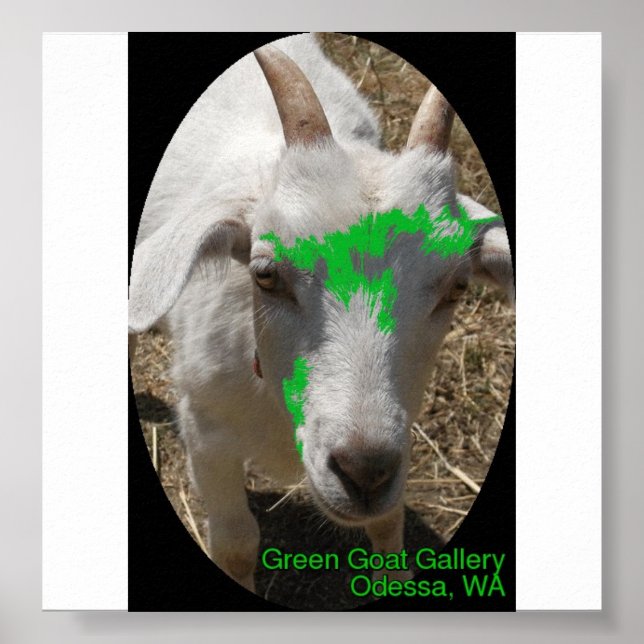 Grönt Goat Gallery Poster med "Pushy" (Framsidan)