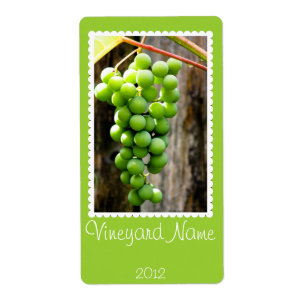 Grönt Grape Personlig Vin etikett Fraktsedel
