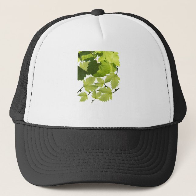 Grönt Grape Vine Löv Keps (Framsida)