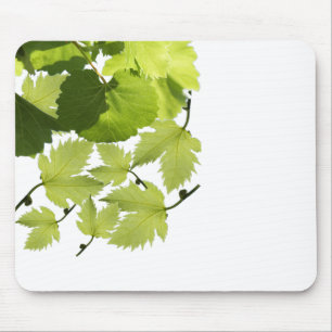 Grönt Grape Vine Löv Musmatta