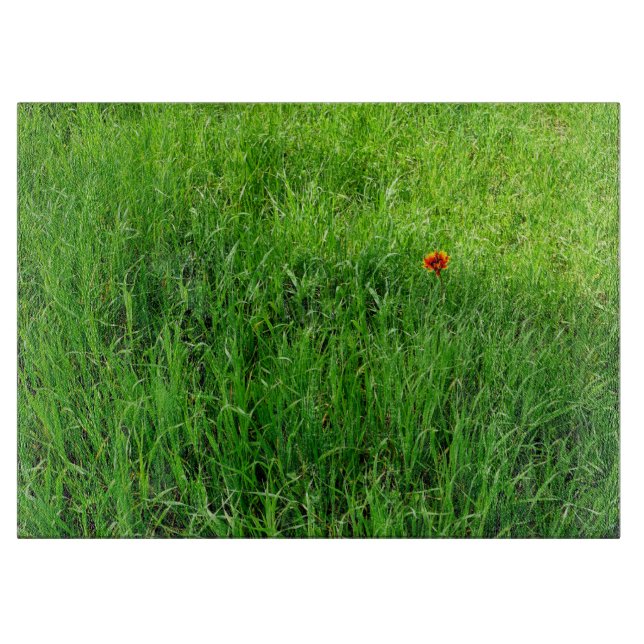 Grönt Gräs (Framsidan)