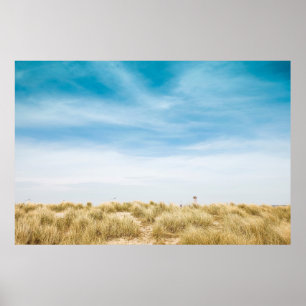 Grönt gräs fält under blå himmel poster
