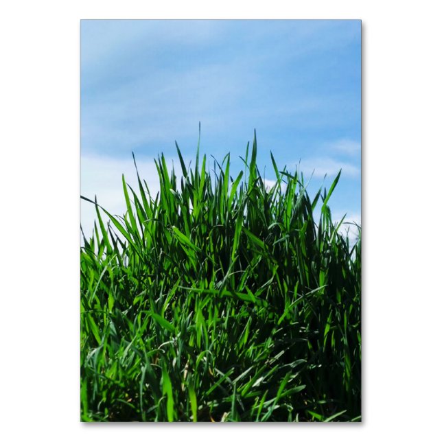 Grönt gräs mot bakgrund av det ändlösa bordsnummer (Framsidan)