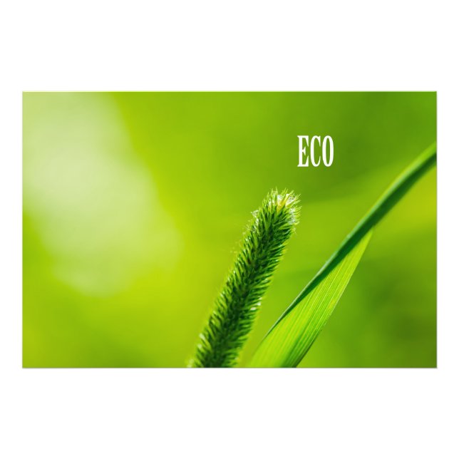 Grönt, gräs och Sol - ekosystem Fototryck (Framsidan)