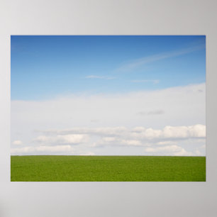 Grönt gräs poster