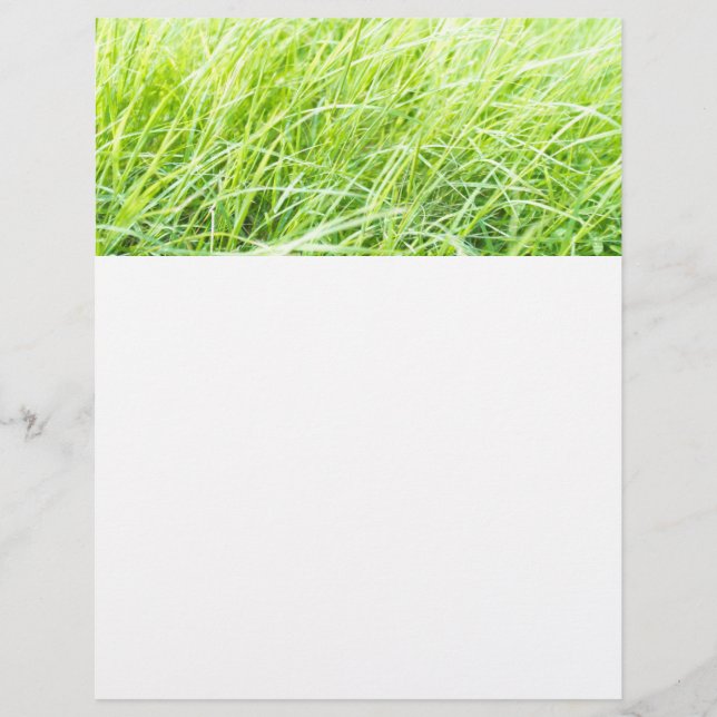 Grönt gräs reklamblad (Framsidan)