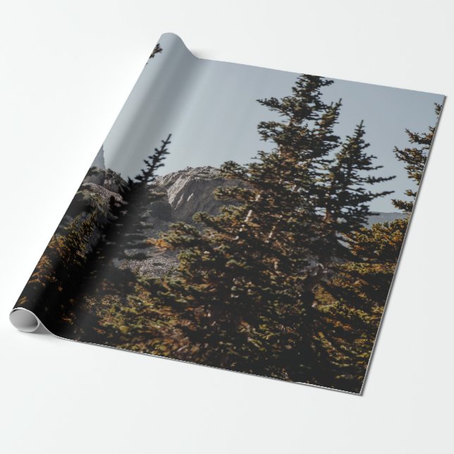 GRÖNT GRÄS TRÄD NÄRA MOUNTAIN UNDER DAGEN PRESENTPAPPER (Utrullad)