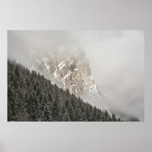 GRÖNT GRÄS TRÄD POSTER