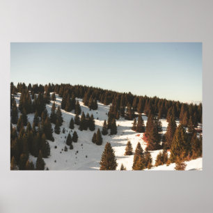 GRÖNT GRÄS TRÄD POSTER