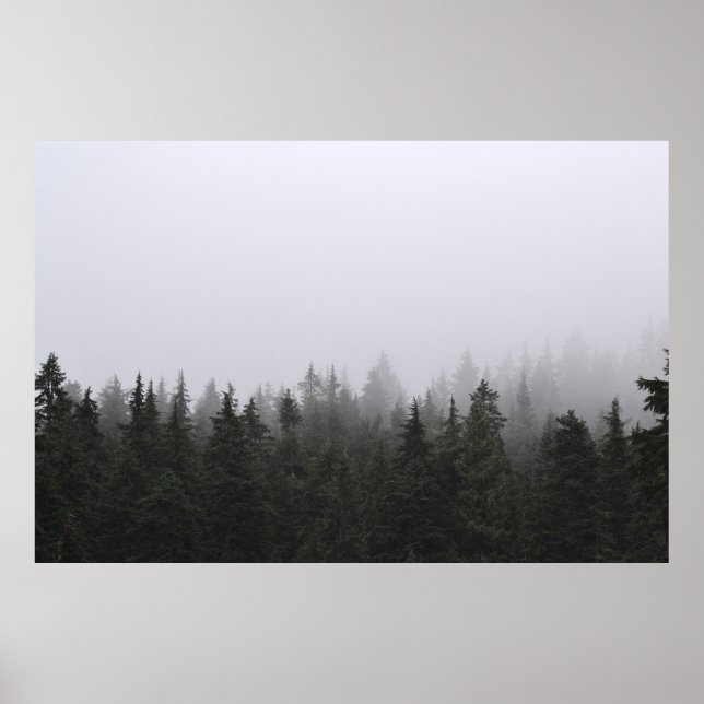 GRÖNT GRÄS TRÄD UNDER VITE HIMLAR POSTER (Framsidan)