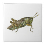 Grönt Grashopper Ceramic Tile Kakelplatta<br><div class="desc">Den här gräshoppsdesignen kommer från ett unikt hand plockade-original av Nikki av timodig kylighet. Med hjälp av penna,  bläck,  penna och vattenfärger har den här intrikata bilden skapats för hand.</div>