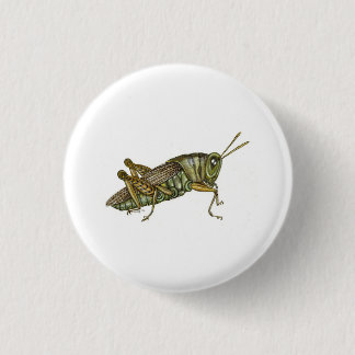 Grönt Grashopper Knapp