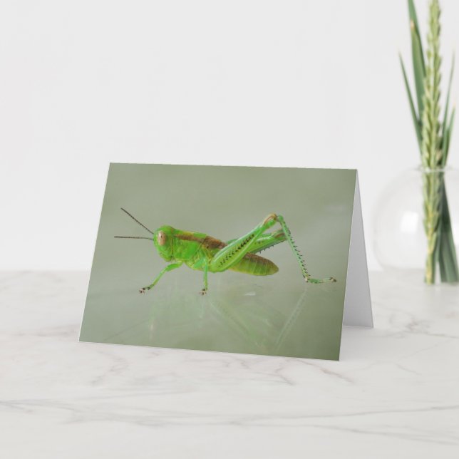 Grönt Grashopper-kort Kort (Framsida)