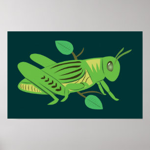 Grönt Grashopper Poster