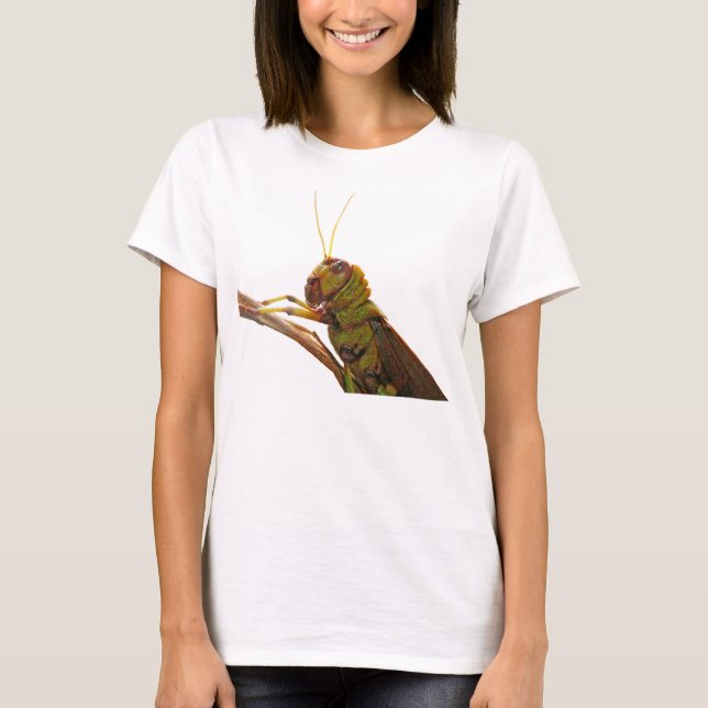 Grönt Grashopper - slutinformation Tee Shirt (Framsida)