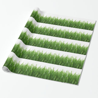 Grönt Grass-bakgrund Presentpapper