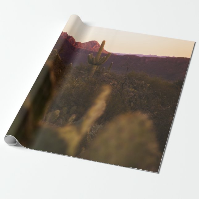 GRÖNT GRASS FÄLT PRESENTPAPPER (Utrullad)