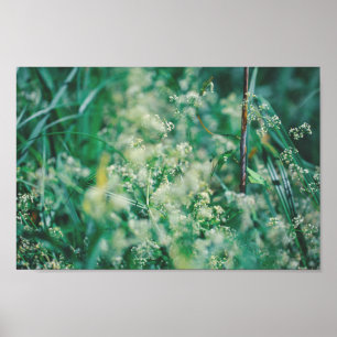 Grönt Grass Flowers Löv Meadow Nature Poster