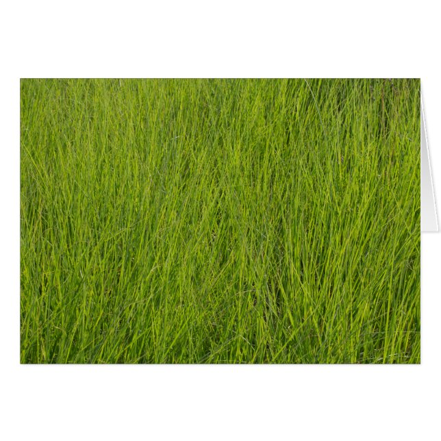Grönt Grass Hälsningskort (Framsidan Horizontal)