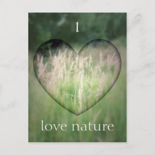 Grönt Grass Heart Vykort
