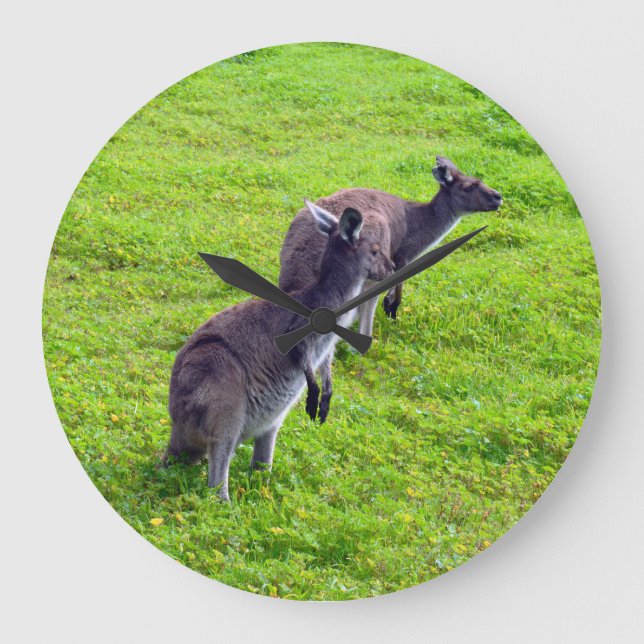 Grönt Grass Kangaroos, väggklocka (Framsida)