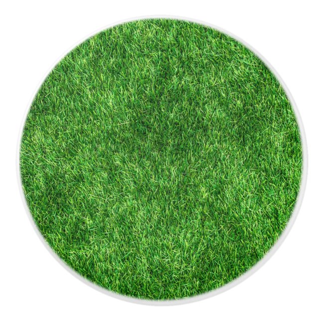 Grönt Grass Knopp (Framsidan)