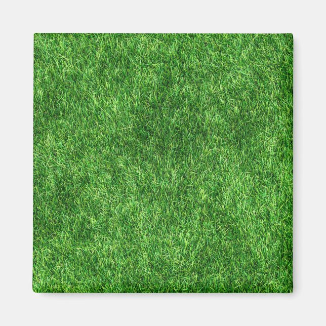 Grönt Grass Magnet (Framsidan)