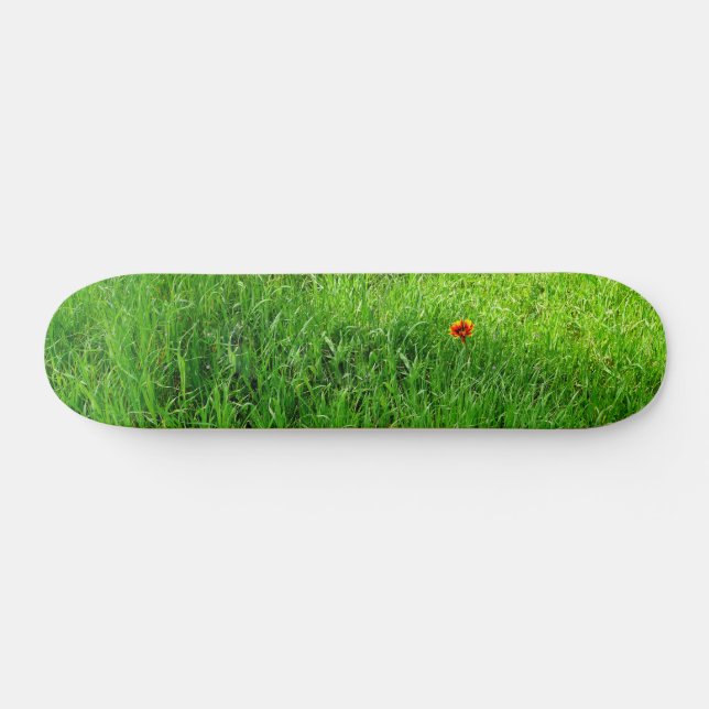Grönt Grass Mini Skateboard Bräda 18,7 Cm (Horz)