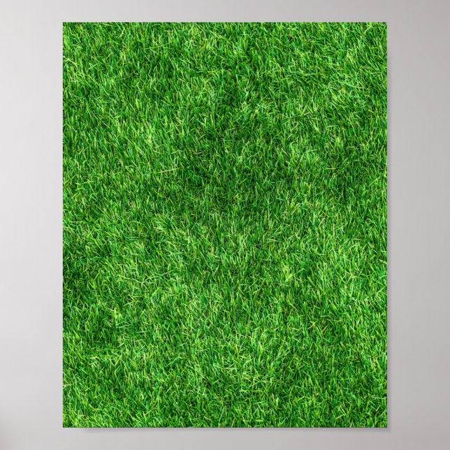 Grönt Grass Poster (Framsidan)