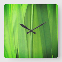 Grönt Grass Reeds Closeup