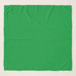 Grönt Grass Sjal<br><div class="desc">Grönt Grass solid färg Chifon Scarf av Gerson Ramos.</div>