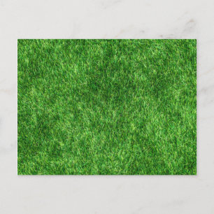 Grönt Grass Vykort